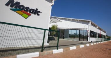 Mosaic reestrutura ativos no País para manter eficiência