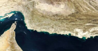 Os gargalos marítimos do planeta e seus riscos para o agronegócio brasileiro