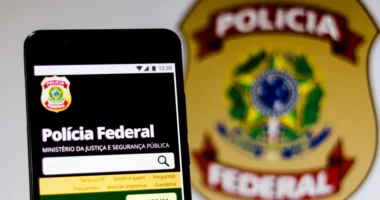 PF investiga entrada de malas por avião de empresário em que estavam Motta e Ciro Nogueira