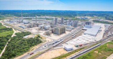 Presidente da Petrobras vai ao México ajudar subsidiária da Braskem