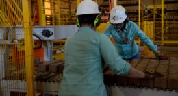 Programa do PT denuncia repetidamente processo de desindustrialização, mas recai em graves omissões