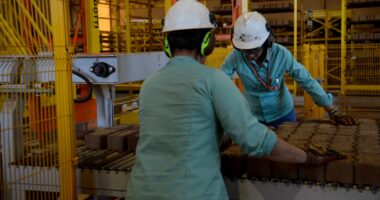 Programa do PT denuncia repetidamente processo de desindustrialização, mas recai em graves omissões