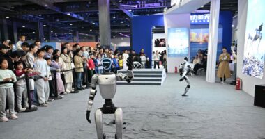 Proteínas e vírus - Estadão