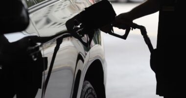 Reunião com distribuidoras fica sem solução, mas governo está otimista com subsídio a combustíveis