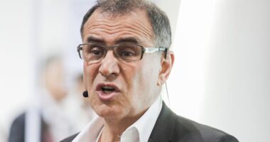 Roubini: Cenário brasileiro depende mais de questões domésticas do que de geopolítica