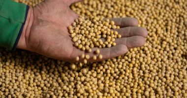 Soja: Enquanto se discutem nos tribunais contratos do passado, a China planeja o futuro