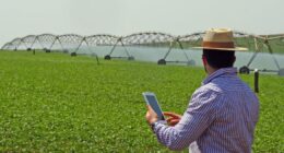 Teles avançam em serviços de tecnologia para faturar com ‘boom digital’ no País