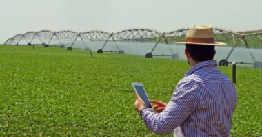 Teles avançam em serviços de tecnologia para faturar com ‘boom digital’ no País