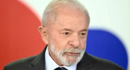 Você não precisa governar para os ricos e para quem ganha bem e pode se virar sozinho, diz Lula