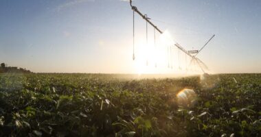 A nova geopolítica agrícola já começou