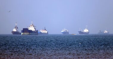 AIE prevê maior queda na demanda global de petróleo após crise no Estreito de Ormuz