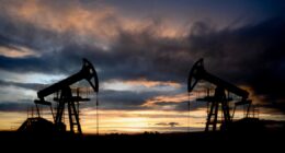 Adnoc, petrolífera dos Emirados Árabes, anuncia US$ 55 bi em novos investimentos após saída da Opep