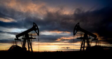 Adnoc, petrolífera dos Emirados Árabes, anuncia US$ 55 bi em novos investimentos após saída da Opep