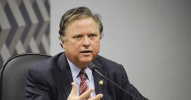 Amaggi compra 40% da FS e amplia aposta no etanol de milho