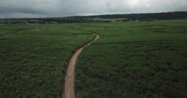 Banco de Edir Macedo põe dinheiro em fundo com terreno vazio e em praia isolada protegida pela União
