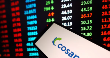 CEO da Cosan diz ser ‘bastante razoável’ que companhia deixe de existir em 3 a 5 anos