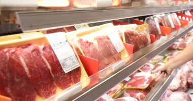 Carne brasileira, Europa e antimicrobianos: entre a regulação sanitária e o protecionismo comercial