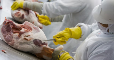 China reabilita três frigoríficos brasileiros para exportação de carne bovina