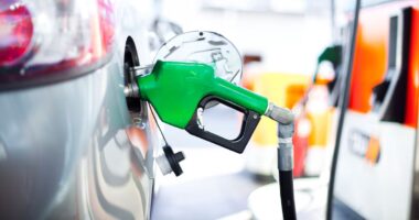 Distribuidoras evitam apagão logístico - Estadão