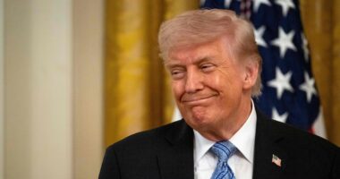 EUA são uma potência decadente? Trump não só admite, como baseia sua política nesse diagnóstico