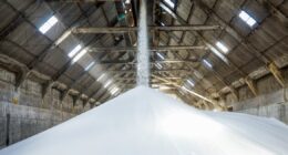 Fertilizantes: Câmara aprova projeto de desenvolvimento de indústria nacional, que volta ao Senado