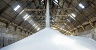 Fertilizantes: Câmara aprova projeto de desenvolvimento de indústria nacional, que volta ao Senado