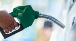 Governo Lula publica decreto com subsídio de R$ 0,44 por litro da gasolina