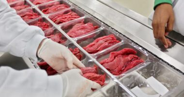 Governo tomará medidas para reverter decisão da União Europeia de proibir compra de carnes do Brasil