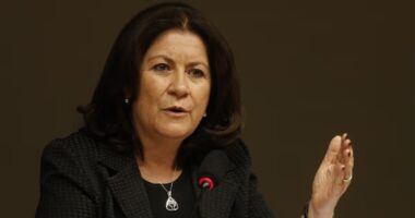 Governo vai recorrer de suspensão do consignado do INSS; ‘Medida drástica do TCU’, diz ministra