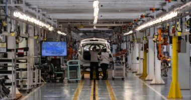 Mercosul-UE: governo define regras para cotas para garantir início prático do acordo