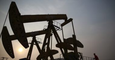 OPEP+ anuncia aumento de produção de petróleo; veja qual deve ser o impacto no preço