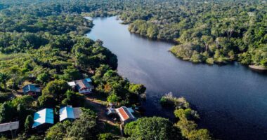 Os mistérios do crédito rural na Amazônia