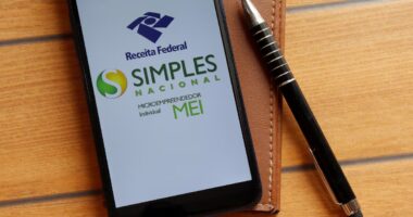 Quem ganha mais: mãe solo, microempreendedor individual ou idoso?