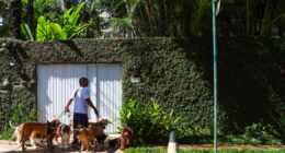 Reduto no Leblon, com casas de até R$ 100 mi, atrai cariocas com luxo, segurança e exclusividade