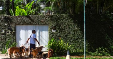 Reduto no Leblon, com casas de até R$ 100 mi, atrai cariocas com luxo, segurança e exclusividade