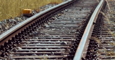 STF valida lei que abre espaço para Ferrogrão