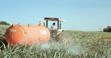 Texto aprovado na Câmara equipara fertilizante a mineral crítico, com previsão de incentivo fiscal