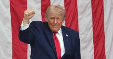 Trump diz que pretende recorrer de decisão que permite a empresas pedir reembolso de tarifas