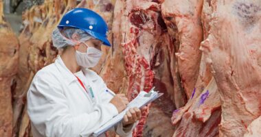 União Europeia vai proibir a compra de carne e animais do Brasil a partir de setembro