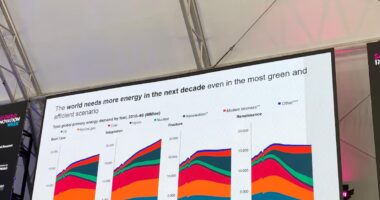 ‘O mundo passa por transição energética, mas também precisa de adição energética’, diz Perez, da S&P