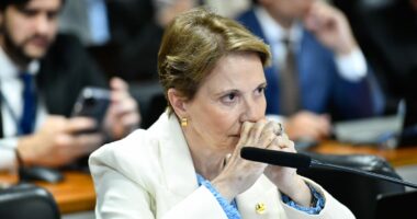 Bancada do agro refuta cálculos do governo sobre ‘pauta-bomba’ na renegociação de dívidas rurais
