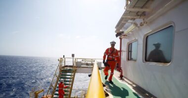 Brasil está entre os principais impulsionadores da expansão da oferta de petróleo, aponta Opep