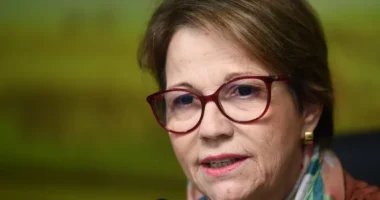 Cotada para vice de Flávio, senadora Tereza Cristina integra instituto patrocinado por empresas