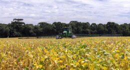 El Niño ameaça piorar pressão no crédito rural e atrasar recuperação do BB