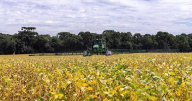 El Niño ameaça piorar pressão no crédito rural e atrasar recuperação do BB