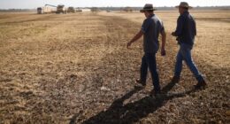 Governo confirma Plano Safra de R$ 525 bilhões para agricultura empresarial