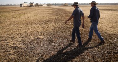 Governo confirma Plano Safra de R$ 525 bilhões para agricultura empresarial