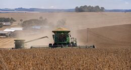 Inadimplência rural fecha 2025 no maior patamar da série trimestral, aponta Serasa