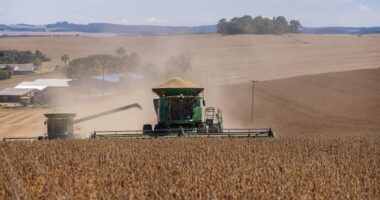 Inadimplência rural fecha 2025 no maior patamar da série trimestral, aponta Serasa