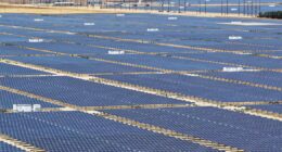 Investimento em transição energética é recorde, mas perde fôlego, aponta Fórum Econômico Mundial